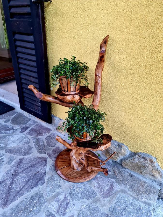Nova Vas nad Dragonjo Casa Villanova Homes מראה חיצוני תמונה